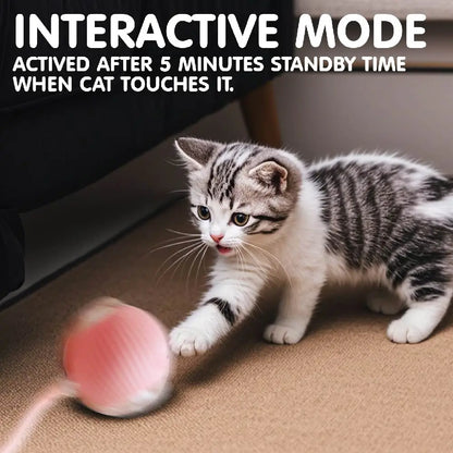 Automatic Rolling Ball with Tail Lamp USB Rechargeable Smart Interactive Cat Ball Toy for Cats Pet Dog accessories 고양이 장난감
