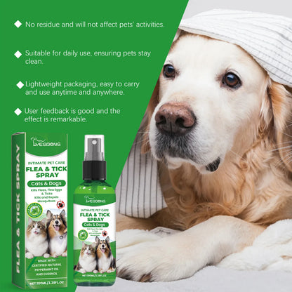 Flea & Tick Spray For Dogs & Cats - Gentle Daily Use Insect Repellent - Kills Fleas, Ticks & Lice - Safe Formula