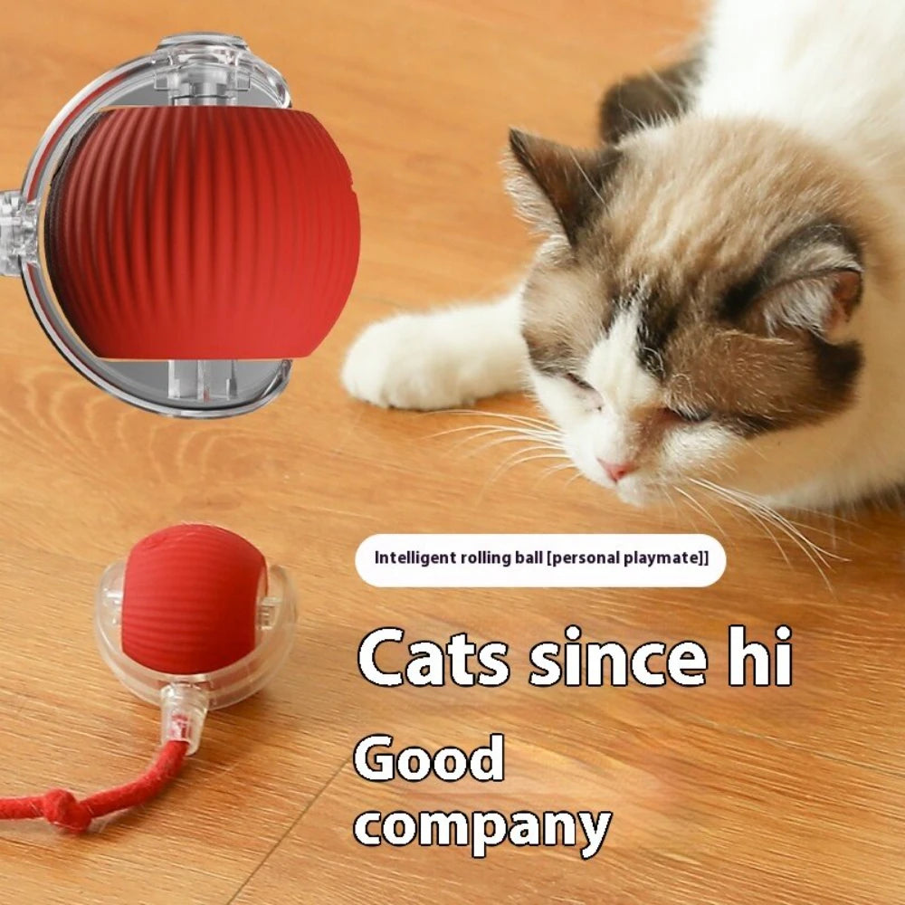 Automatic Rolling Ball with Tail Lamp USB Rechargeable Smart Interactive Cat Ball Toy for Cats Pet Dog accessories 고양이 장난감
