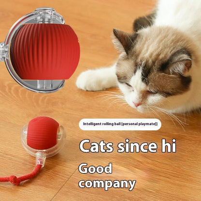 Automatic Rolling Ball with Tail Lamp USB Rechargeable Smart Interactive Cat Ball Toy for Cats Pet Dog accessories 고양이 장난감