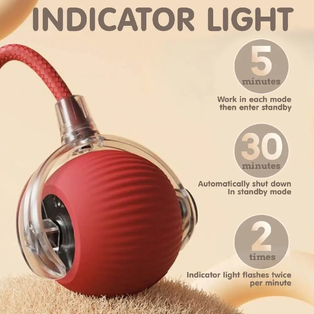 Automatic Rolling Ball with Tail Lamp USB Rechargeable Smart Interactive Cat Ball Toy for Cats Pet Dog accessories 고양이 장난감