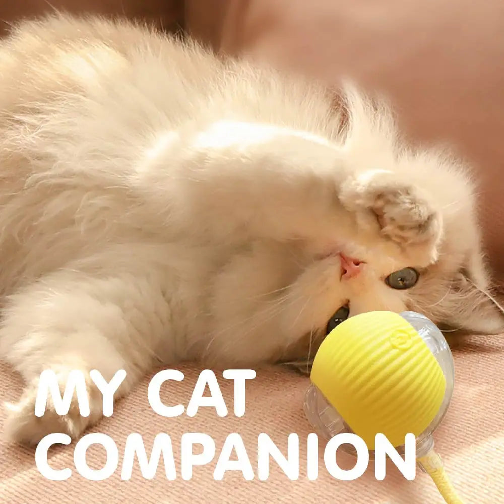 Automatic Rolling Ball with Tail Lamp USB Rechargeable Smart Interactive Cat Ball Toy for Cats Pet Dog accessories 고양이 장난감