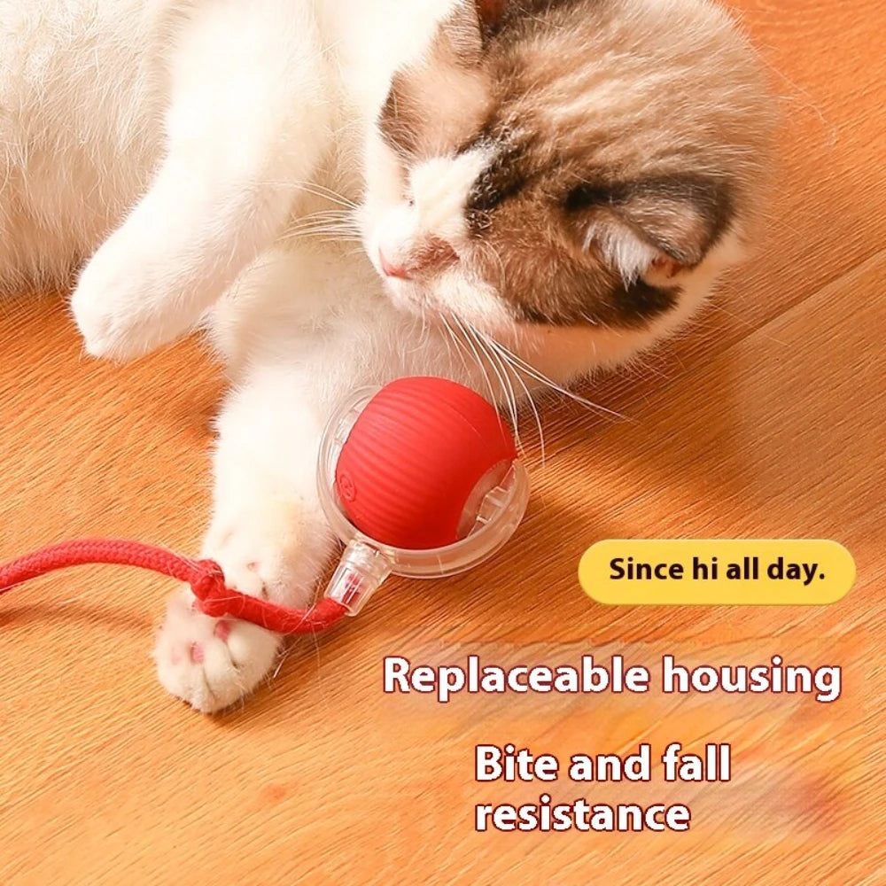 Automatic Rolling Ball with Tail Lamp USB Rechargeable Smart Interactive Cat Ball Toy for Cats Pet Dog accessories 고양이 장난감