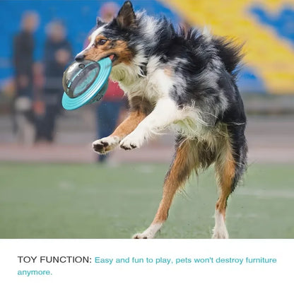 1PC dog leakage toy, outdoor flying interactive dog toy, suitable for medium and large dog teeth grinding and cleaning toys