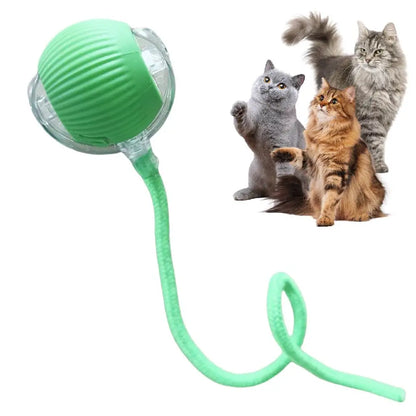 Automatic Rolling Ball with Tail Lamp USB Rechargeable Smart Interactive Cat Ball Toy for Cats Pet Dog accessories 고양이 장난감