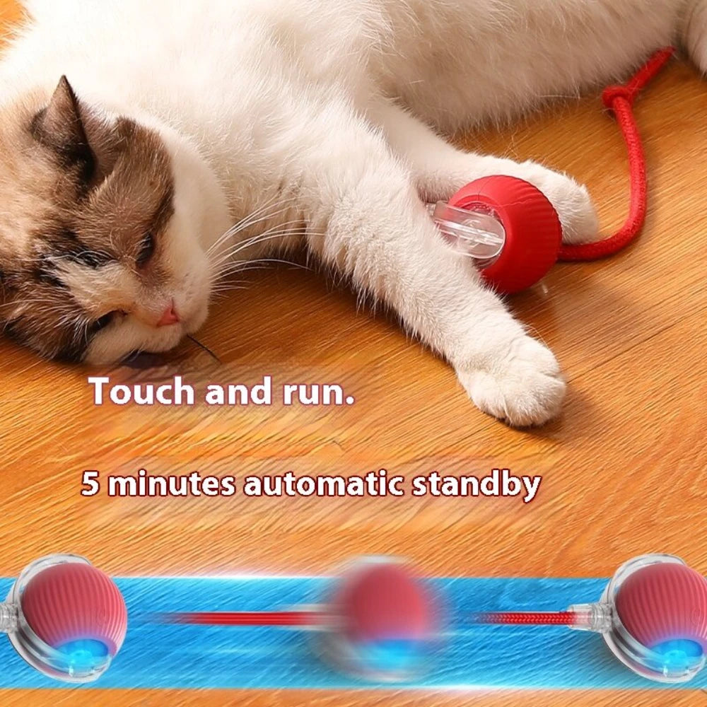 Automatic Rolling Ball with Tail Lamp USB Rechargeable Smart Interactive Cat Ball Toy for Cats Pet Dog accessories 고양이 장난감