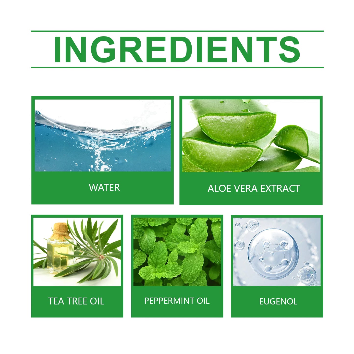 Flea & Tick Spray For Dogs & Cats - Gentle Daily Use Insect Repellent - Kills Fleas, Ticks & Lice - Safe Formula